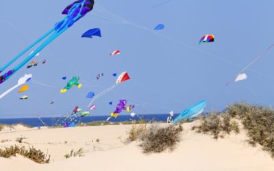 Kites Take Flight 2025